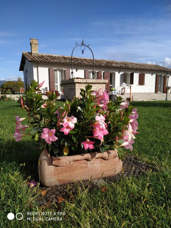 Agriturismo  Le Serre Spello Exterior foto